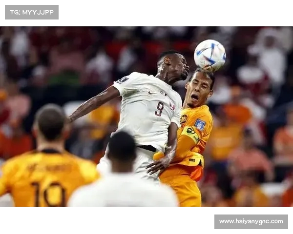 非洲冠军:大陆足球之光与荣耀 非洲冠军:大陆足球之光与荣耀