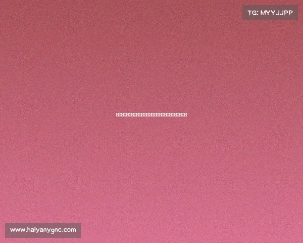 雷恩城市发展与文化特色研究：从历史遗产到现代化转型的探索