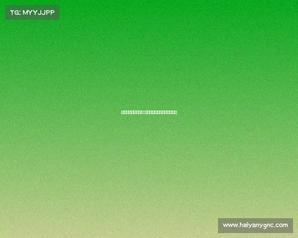 阿森纳重塑辉煌之路 穿越挑战与变革重返英超巅峰