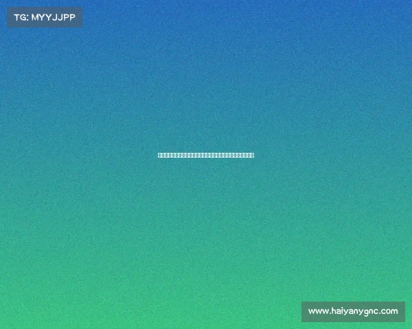 雷恩城市发展与文化特色研究：从历史遗产到现代化转型的探索